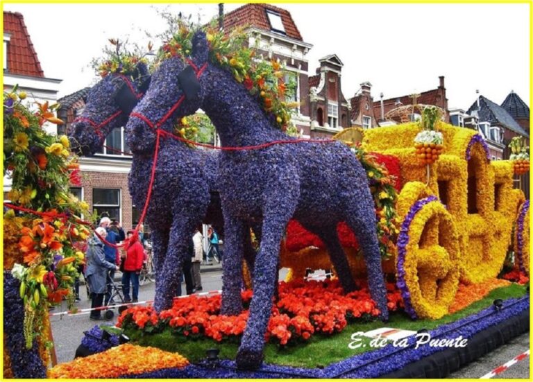 Desfile De Las Flores Holanda La Boutique Del Powerpoint