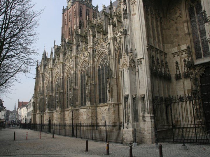catedral bolduque
