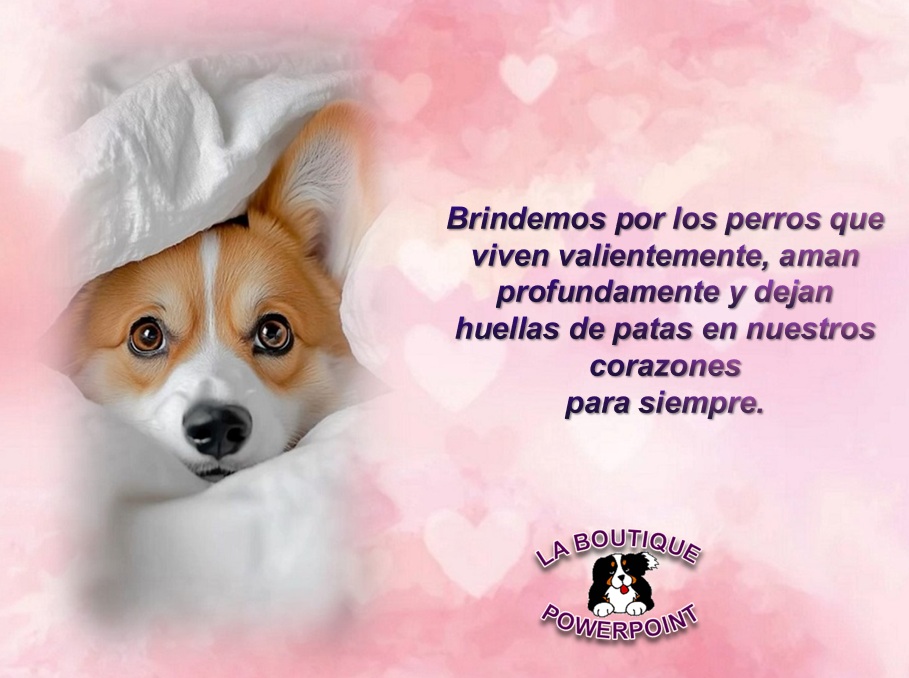 si, los perros mueren